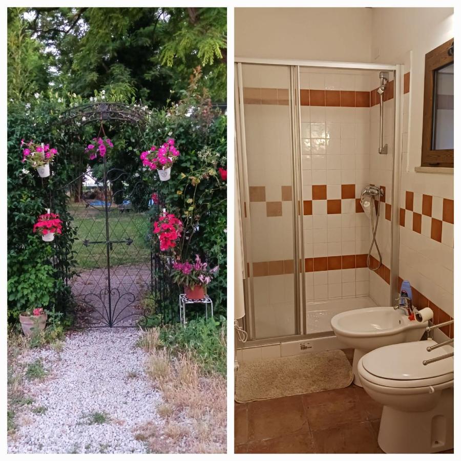Casetta Di Laura Pisa Buitenkant foto